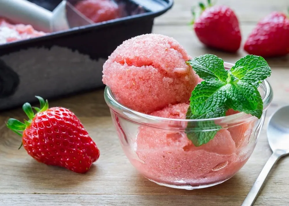 Vitamix Sorbet Recipes