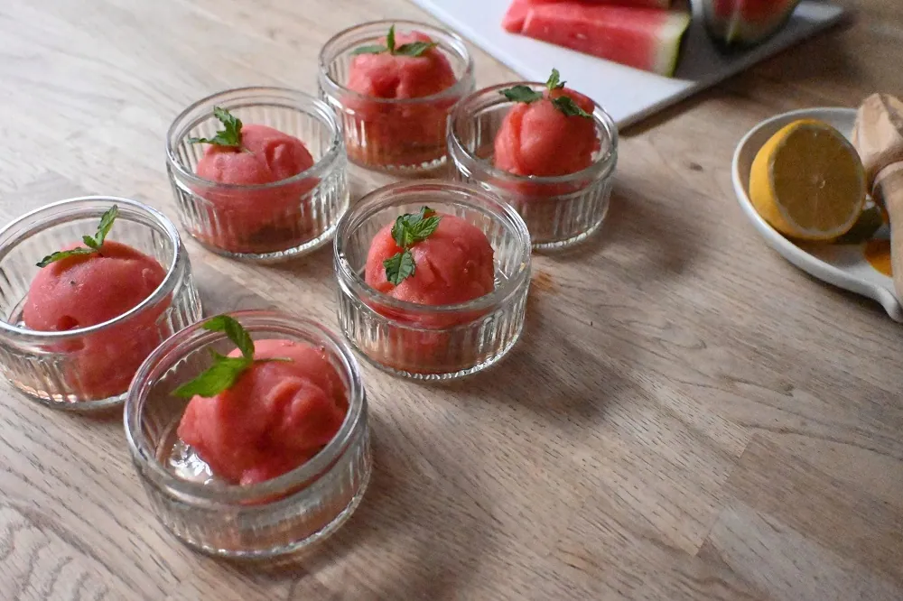 Watermelon sorbet in a Vitamix Recipe